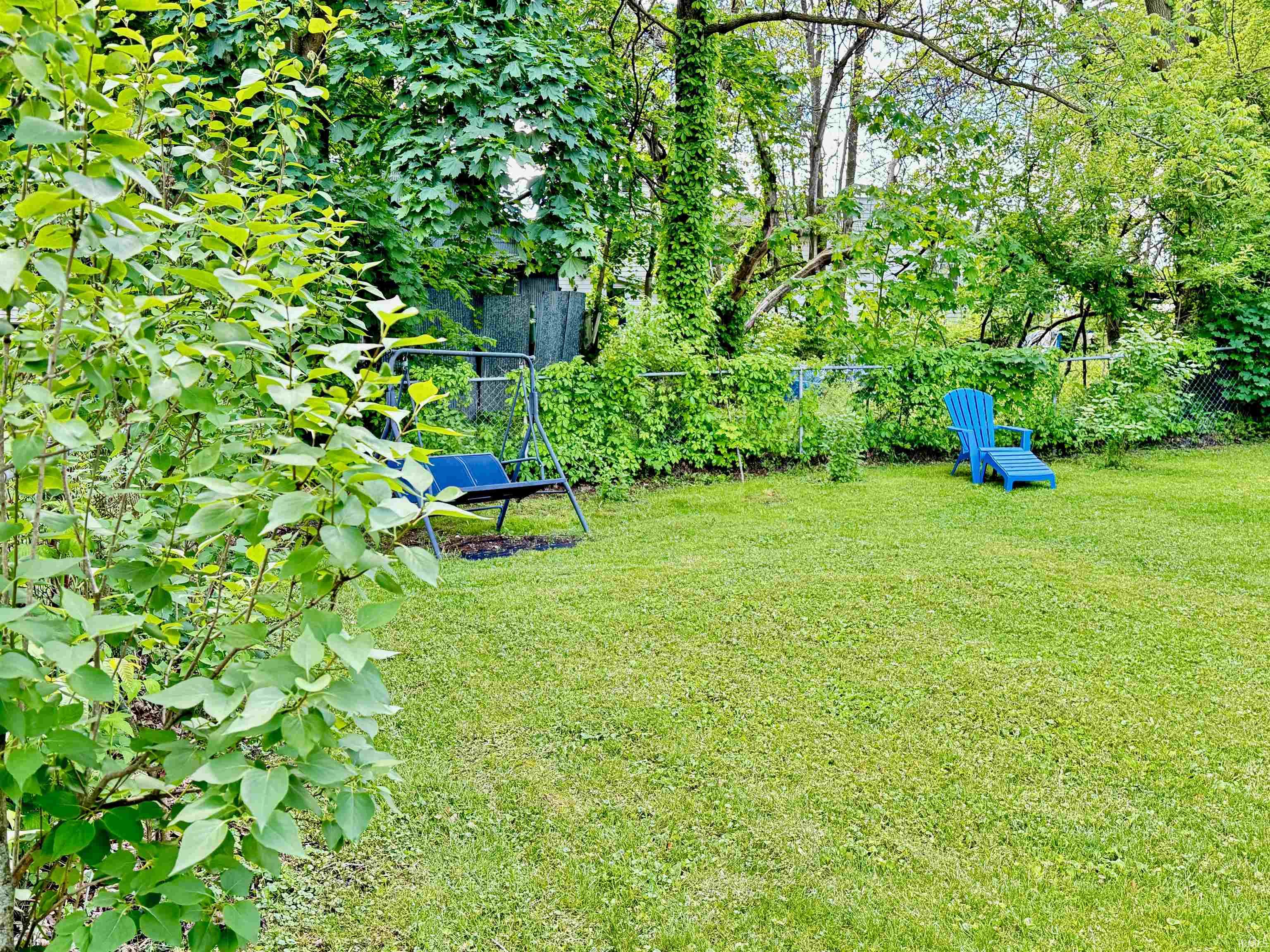 Lilac bushes line chain link fence for privacy