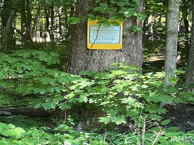 Backyard view of Classified Forest, beautiful mature trees, wildlife including deer, squirrels, birds.