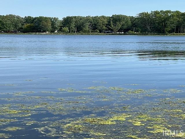 Peaceful and Serene Beaver Dam Lake View from Beachfront Easement.