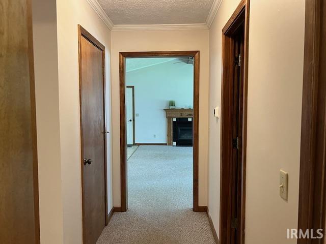 Hallway to Bedrooms