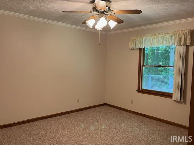 Back Bedroom with view of Woods and Wildlife