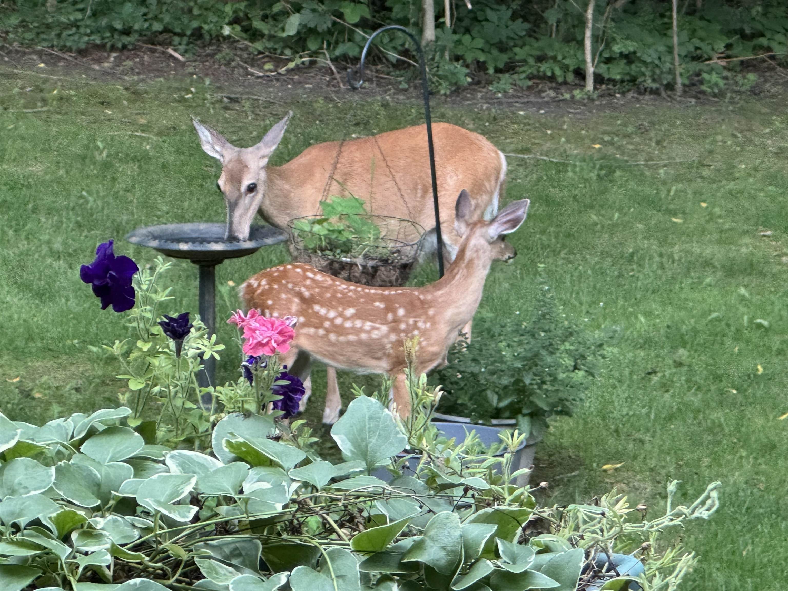 Homes for sale in Angola, IN | 2796 N 85 W, Angola, IN 46703 | MLS# 202520851