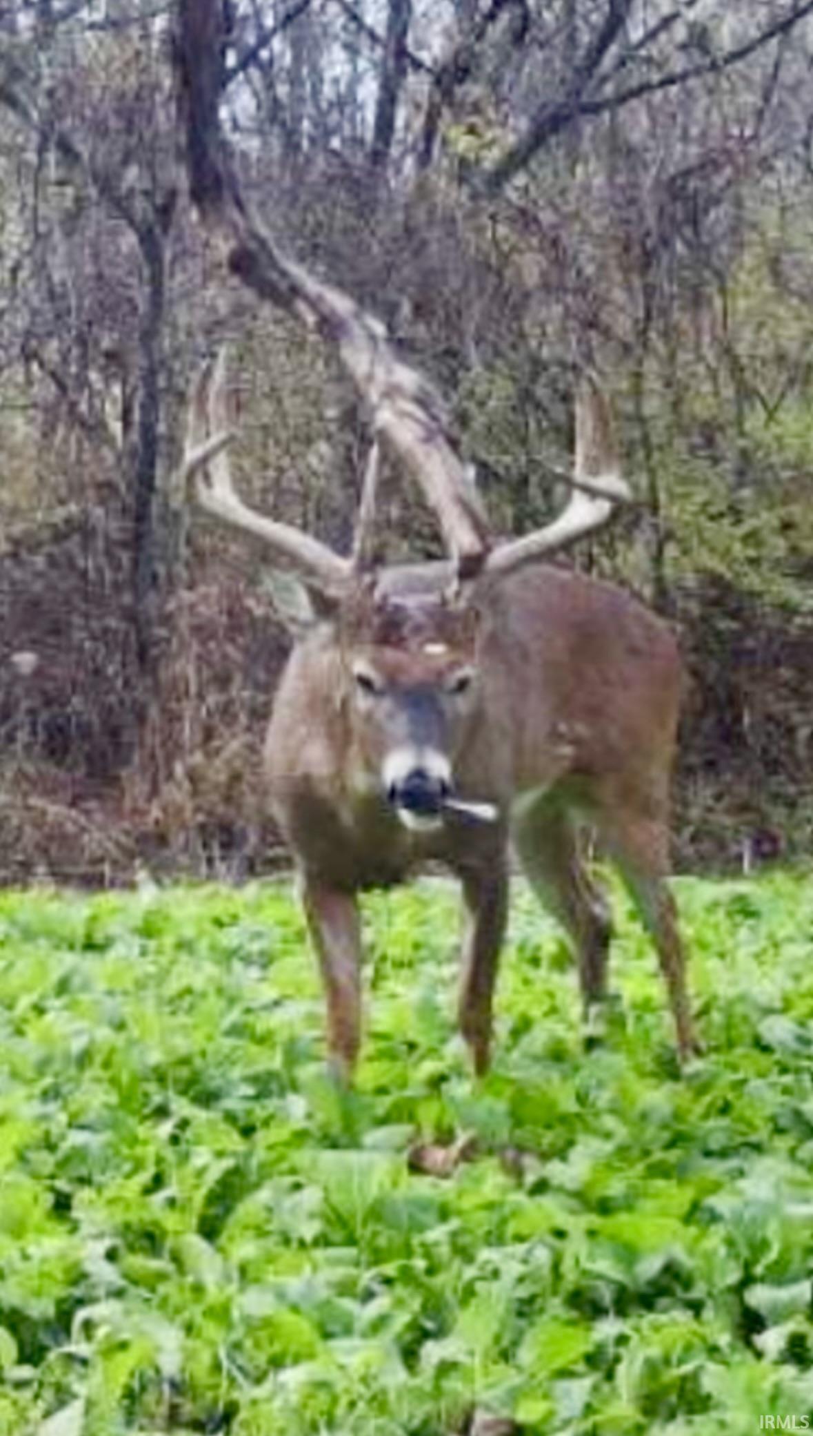 Homes for sale in Hudson, IN | 8615 W 450 S, Hudson, IN 46747 | MLS# 202521017