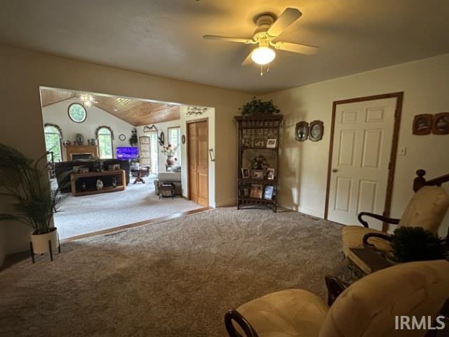 picture-gallery
