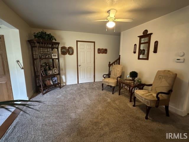 picture-gallery