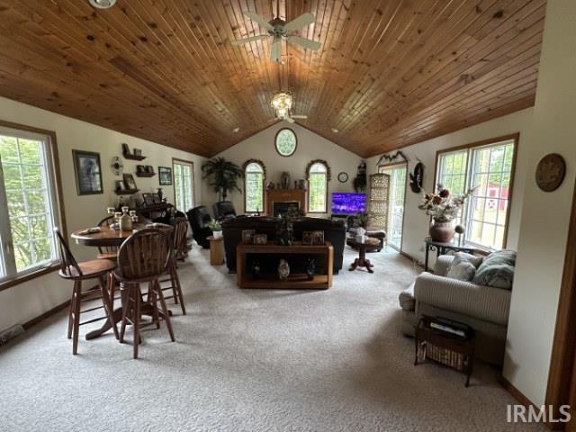 picture-gallery