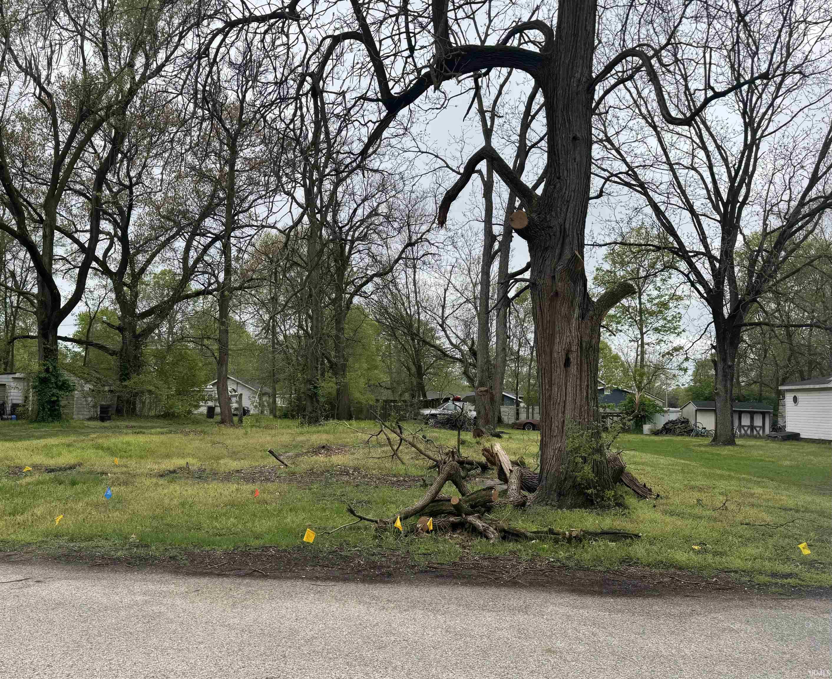 Photo 0 of 56585 Best Avenue