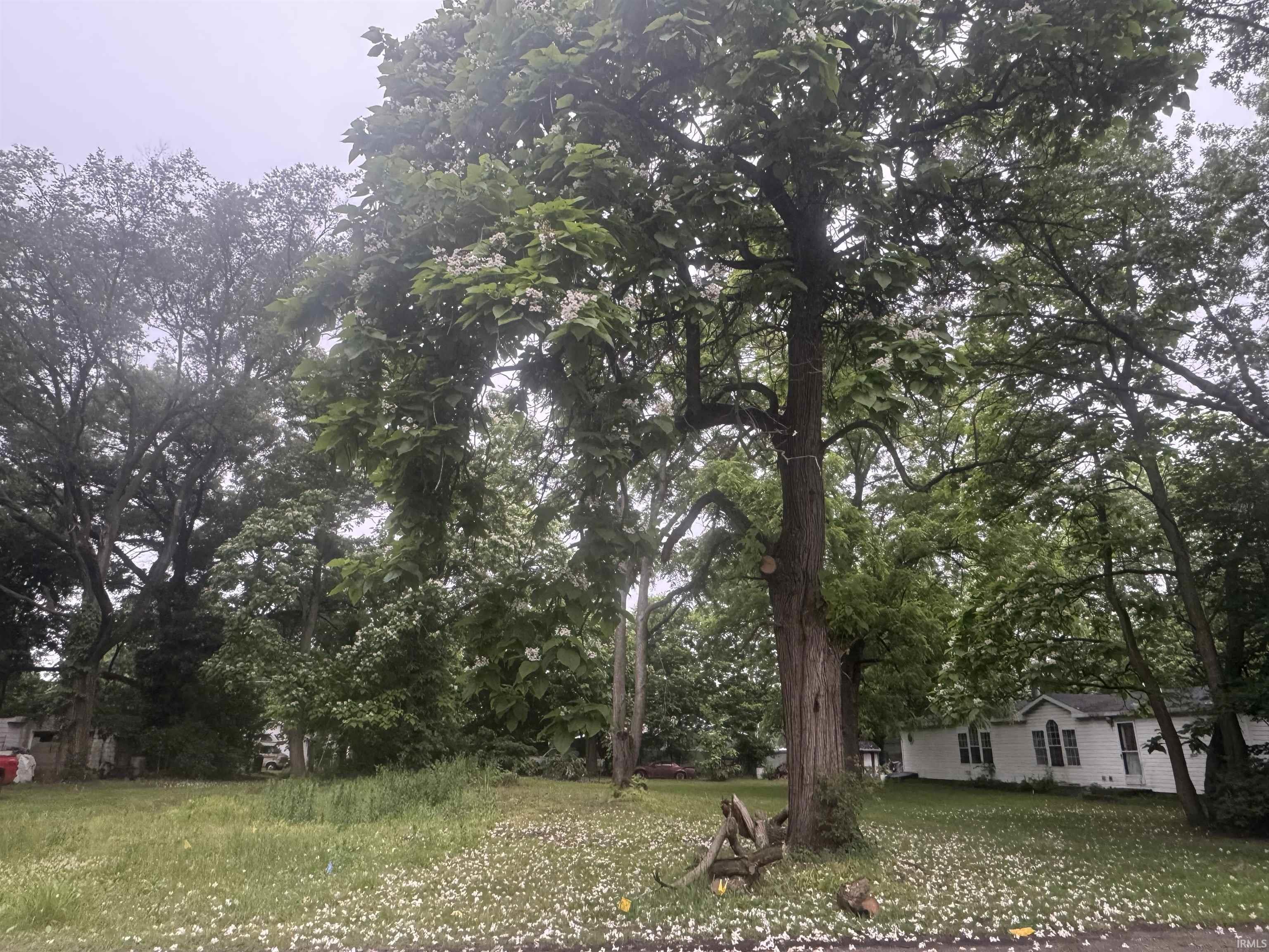 Photo 1 of 56585 Best Avenue