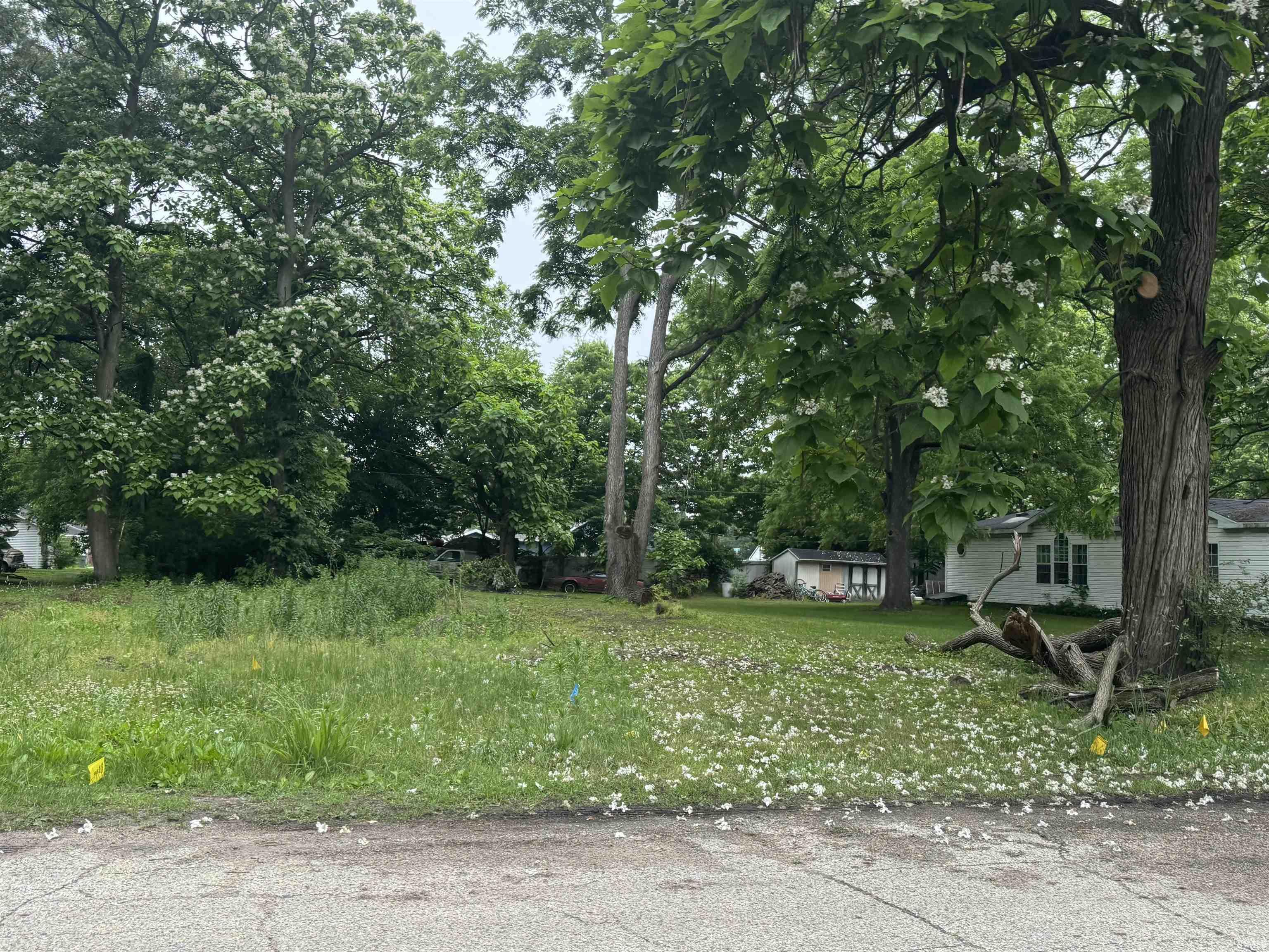 Photo 5 of 56585 Best Avenue