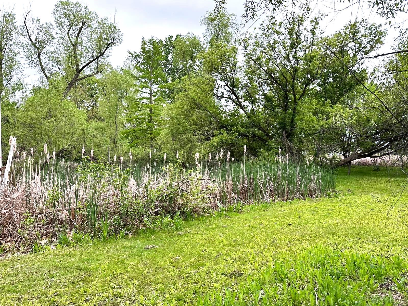 Photo 4 of TBD W State Road 120