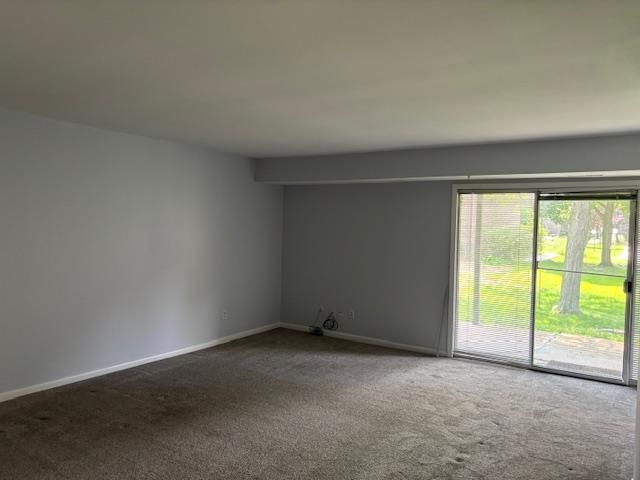 picture-gallery