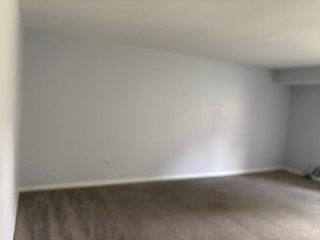 picture-gallery
