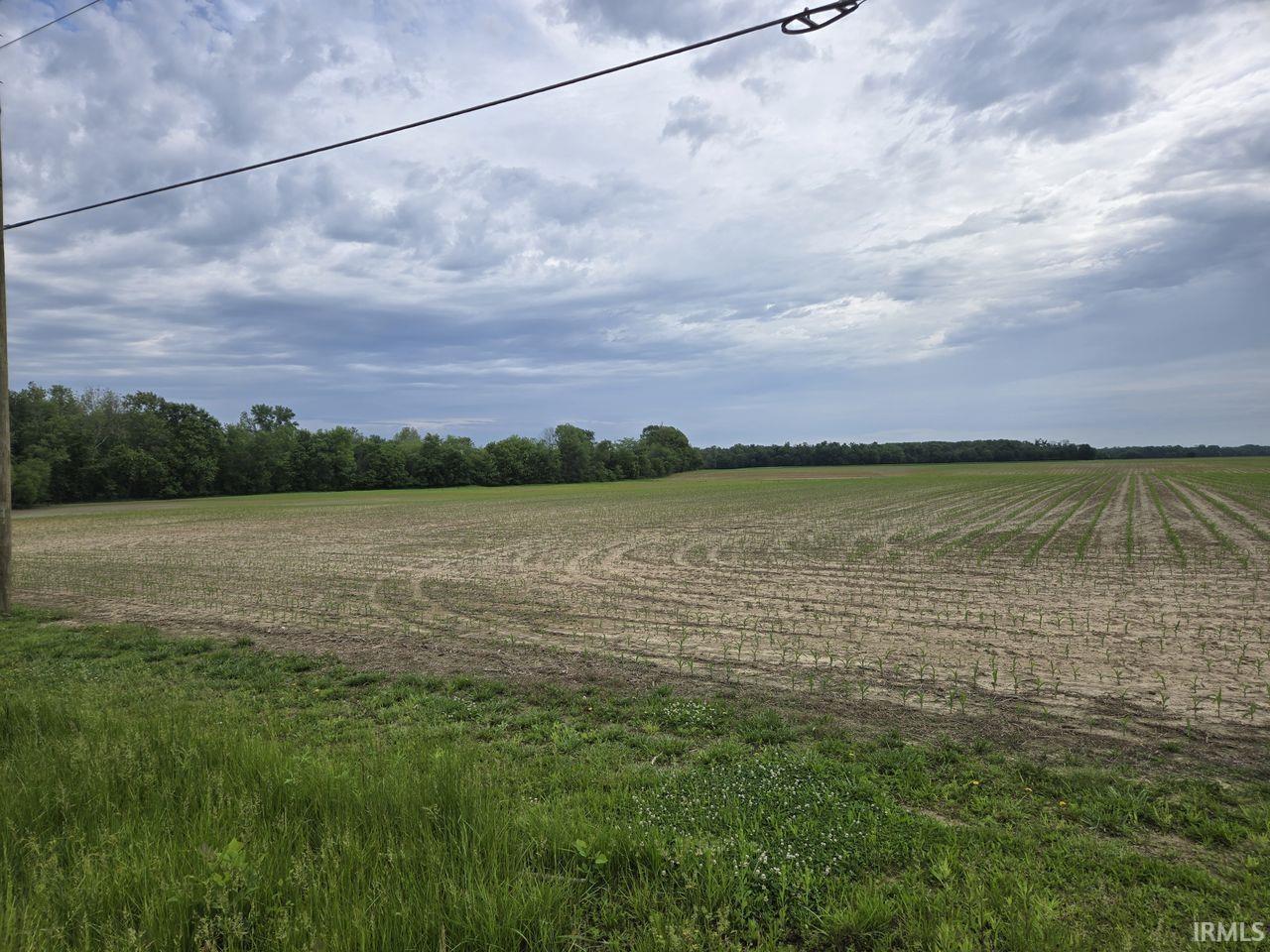 Homes for sale in Chandler, IN | Old Boonville Hwy, Chandler, IN 47610 | MLS# 202522658