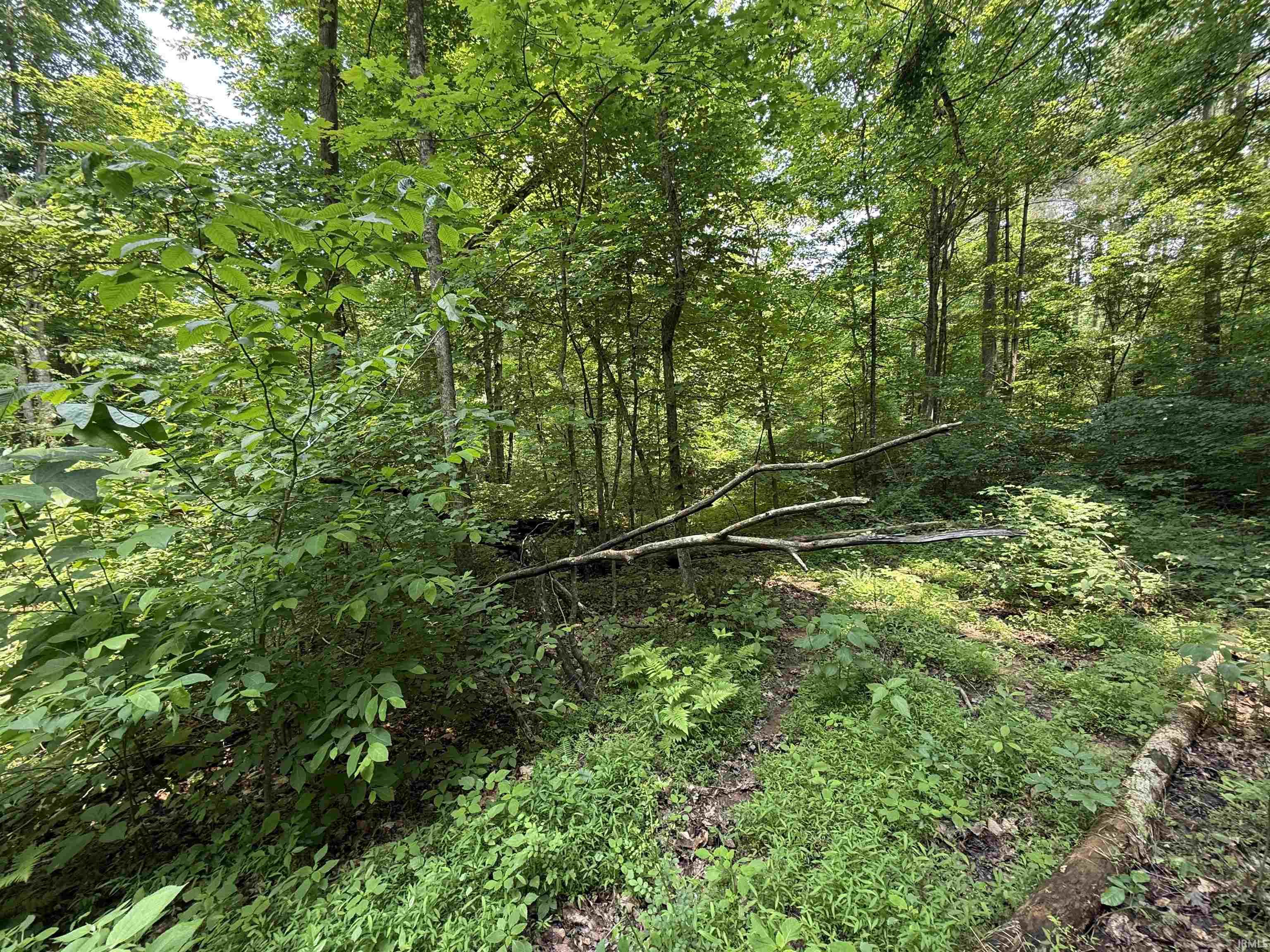 Homes for sale in Bristol, IN | 20590 Apricot Rd, Bristol, IN 47515 | MLS# 202524509