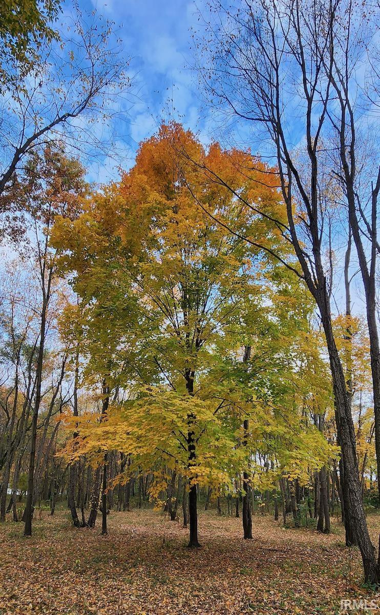 Photo 11 of 4314 Bristol Street