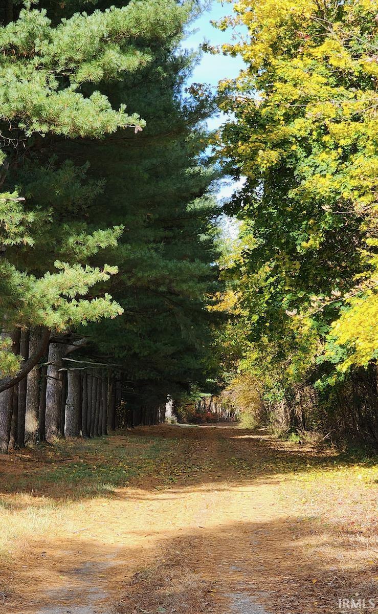 Photo 12 of 4314 Bristol Street