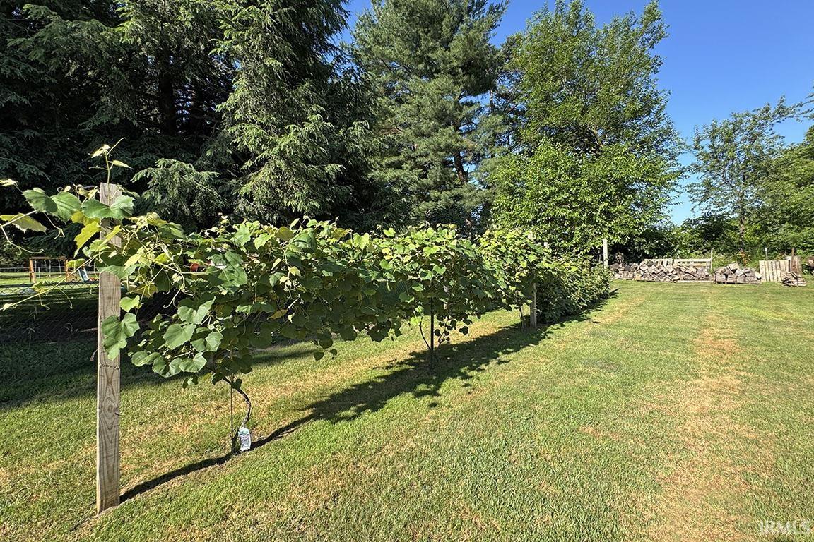 Photo 28 of 68615 County Road 23