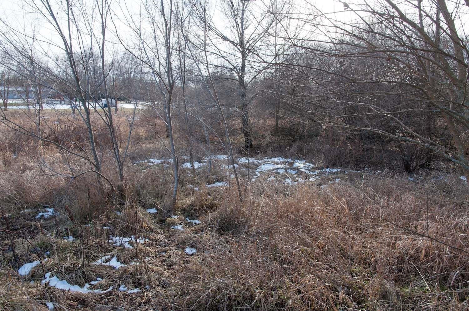 Photo 2 of TBD Lot 8 Acorn Drive