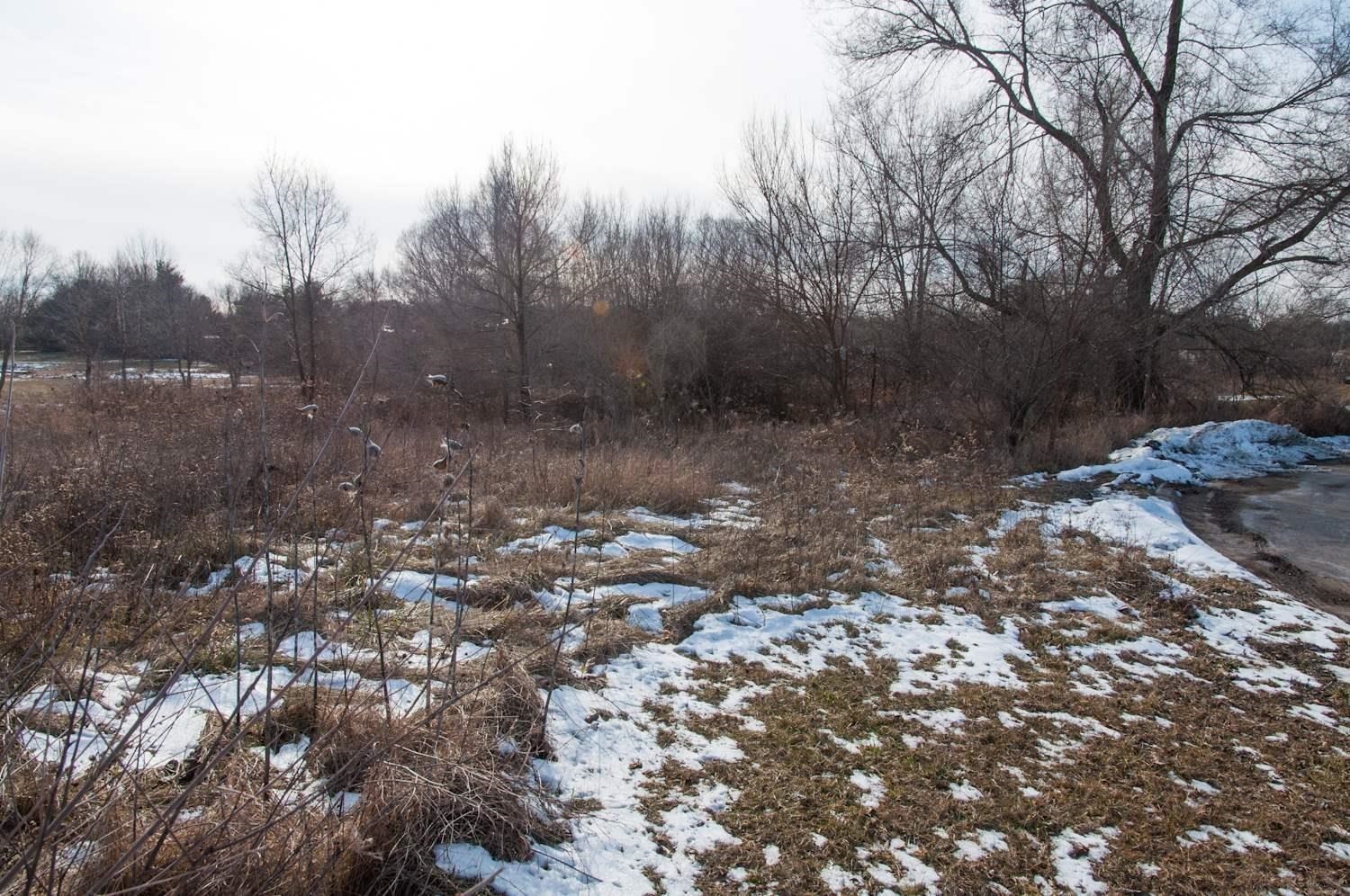 Photo 3 of TBD Lot 8 Acorn Drive