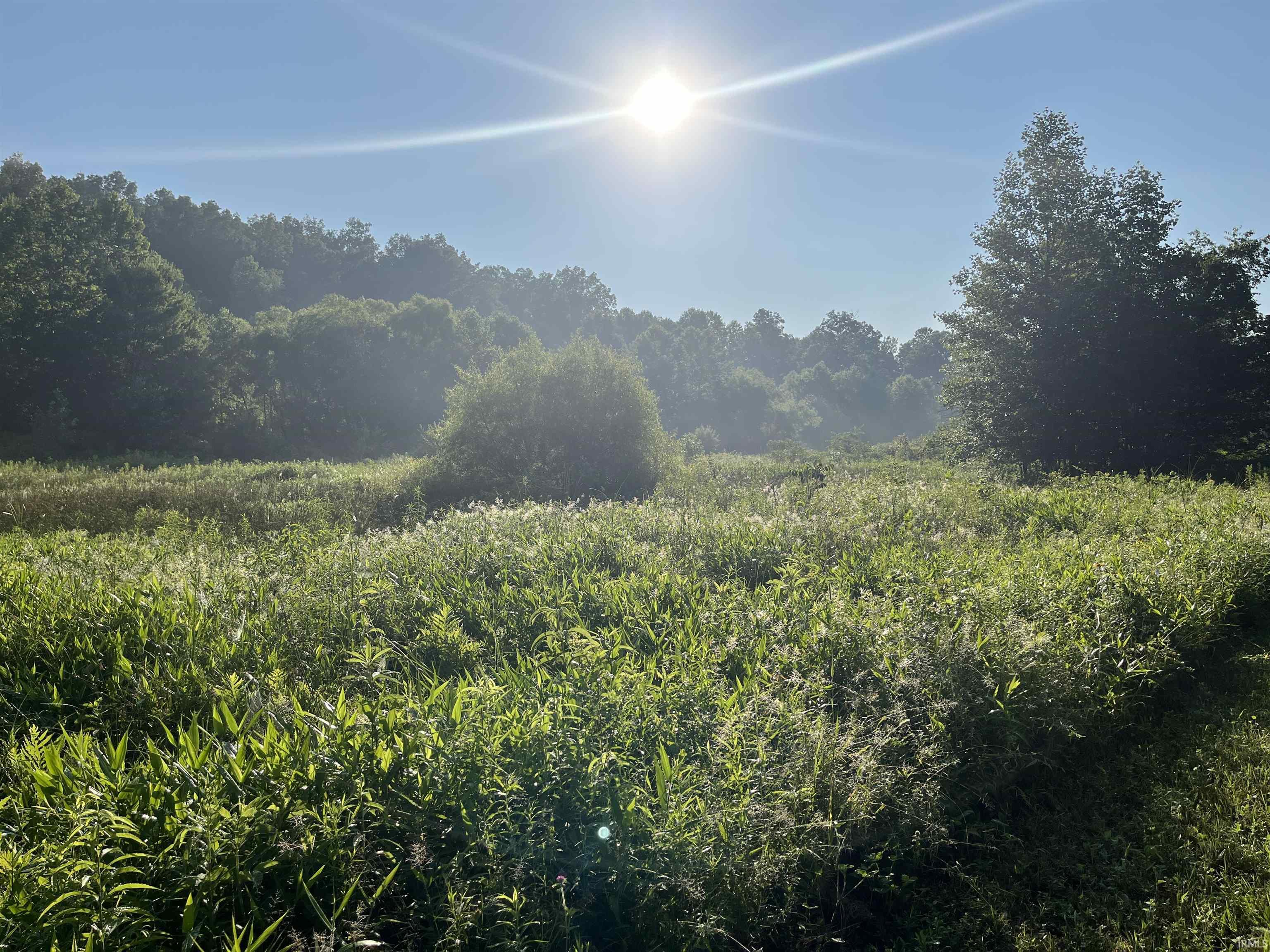 Homes for sale in Springville, IN | 11456 E Robins Nest Dr, Springville, IN 47462 | MLS# 202525665