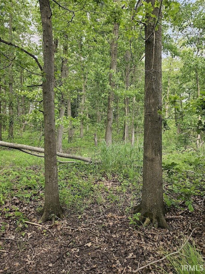 Photo 10 of 00 Cr 71