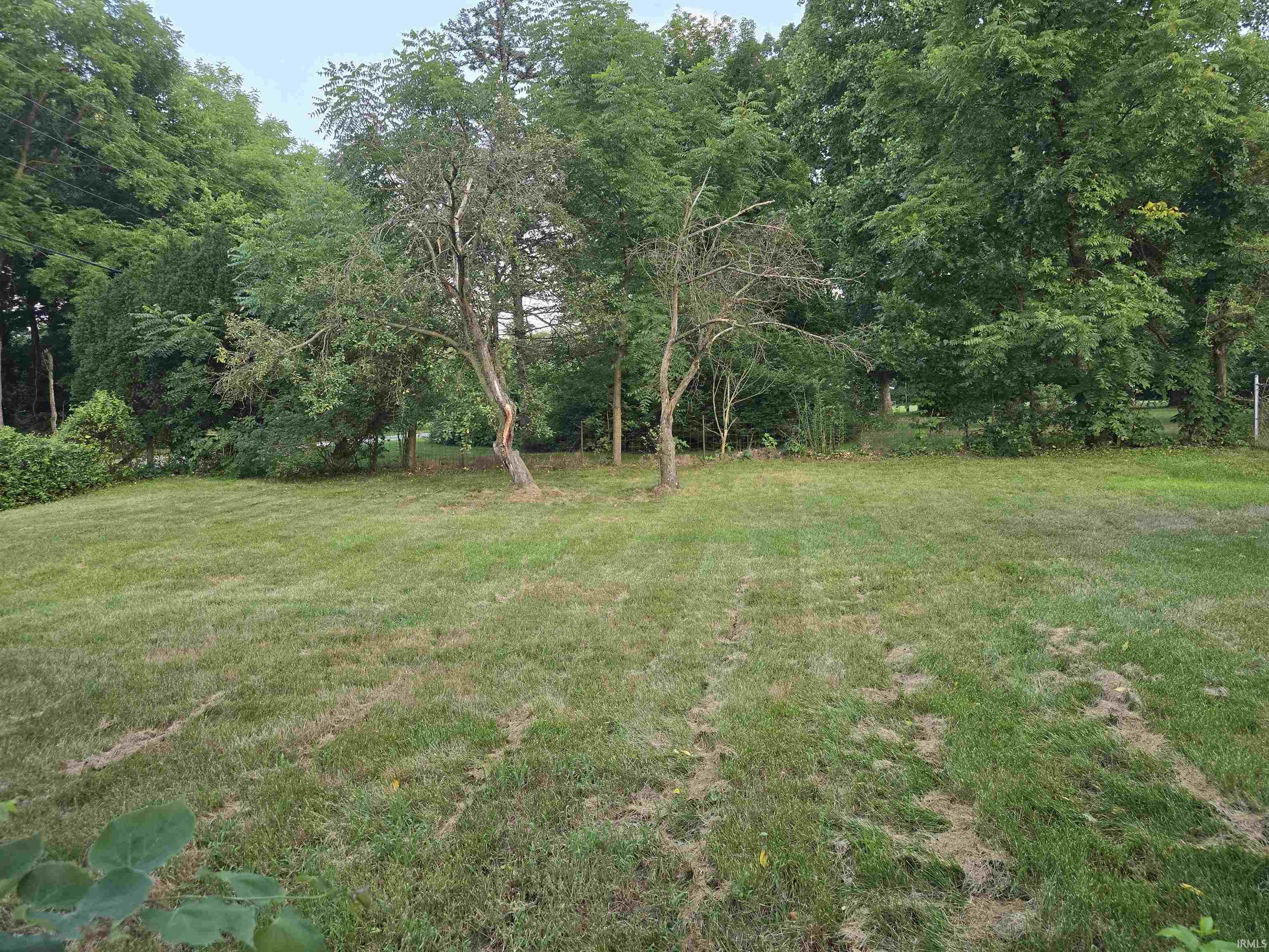 Photo 3 of 21012 State Road 120