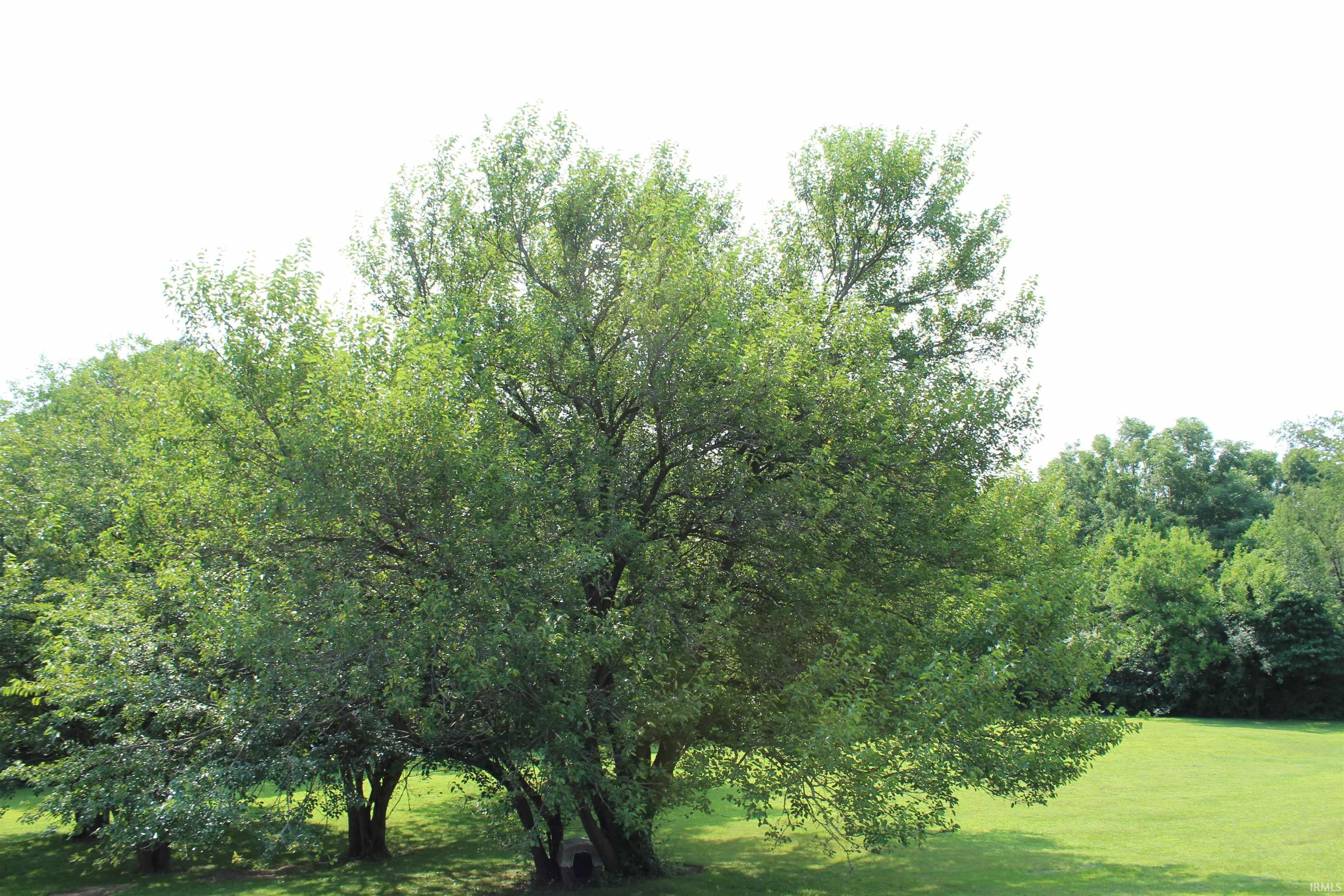 Photo 32 of 475 E 280 N