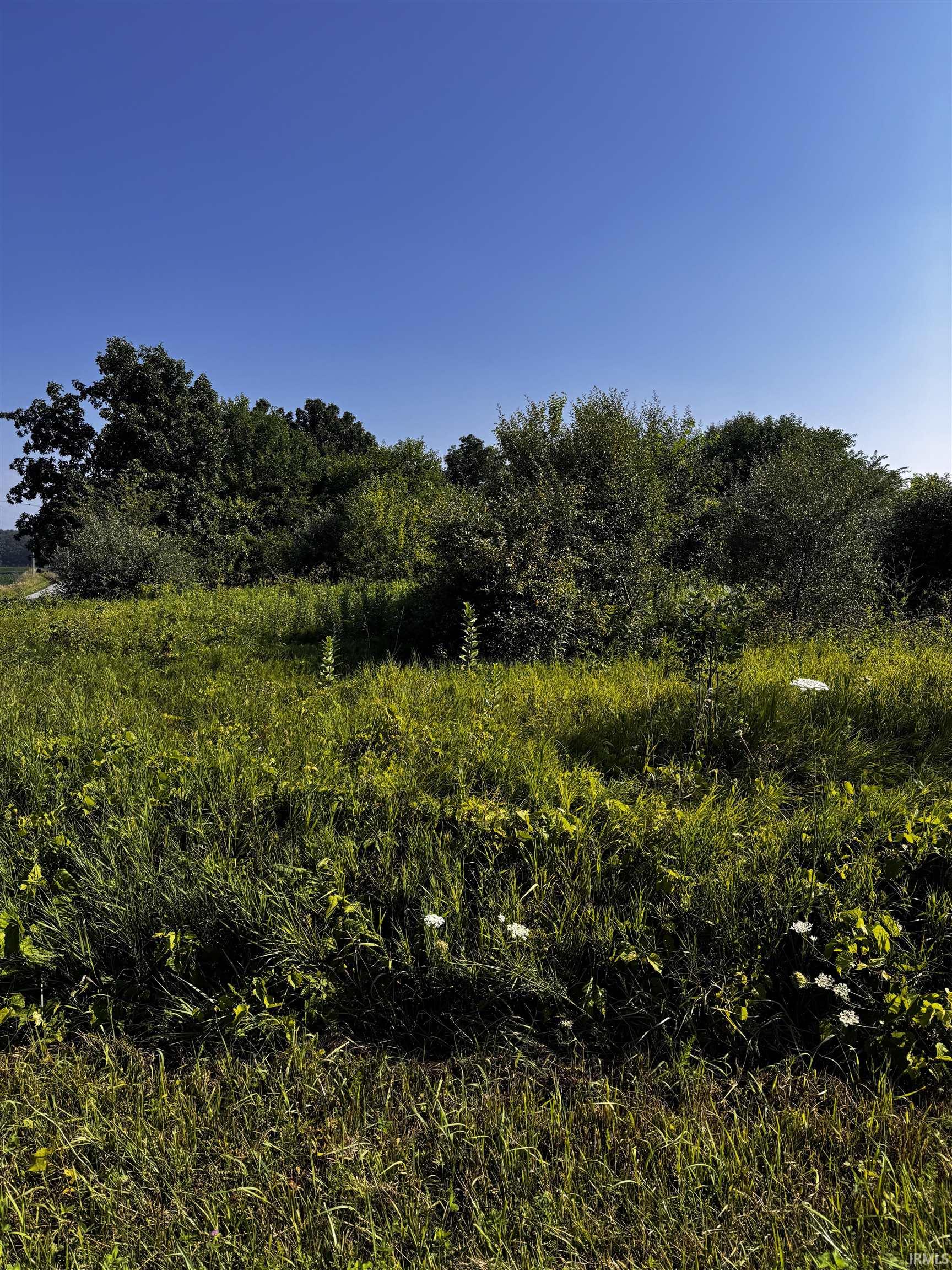 Photo 2 of TBD W Red Snapper Drive