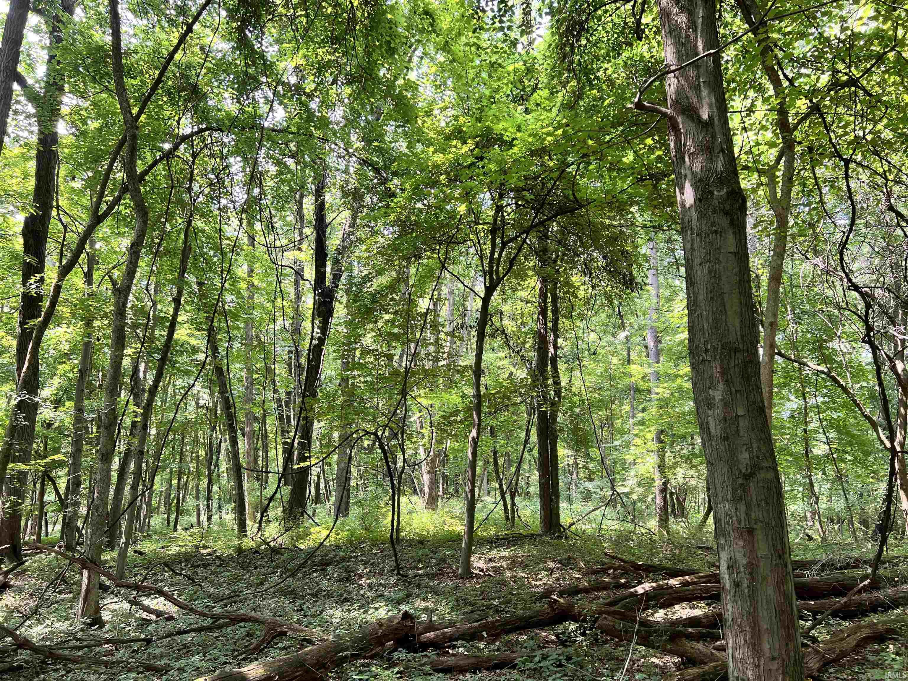 Photo 4 of 00000 Barbarrah Drive