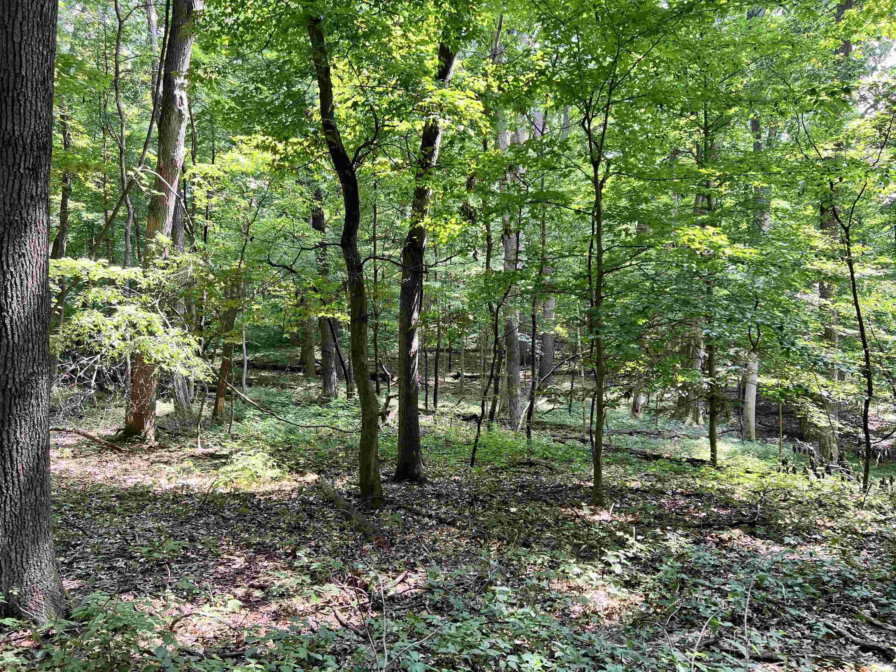 Photo 6 of 00000 Barbarrah Drive