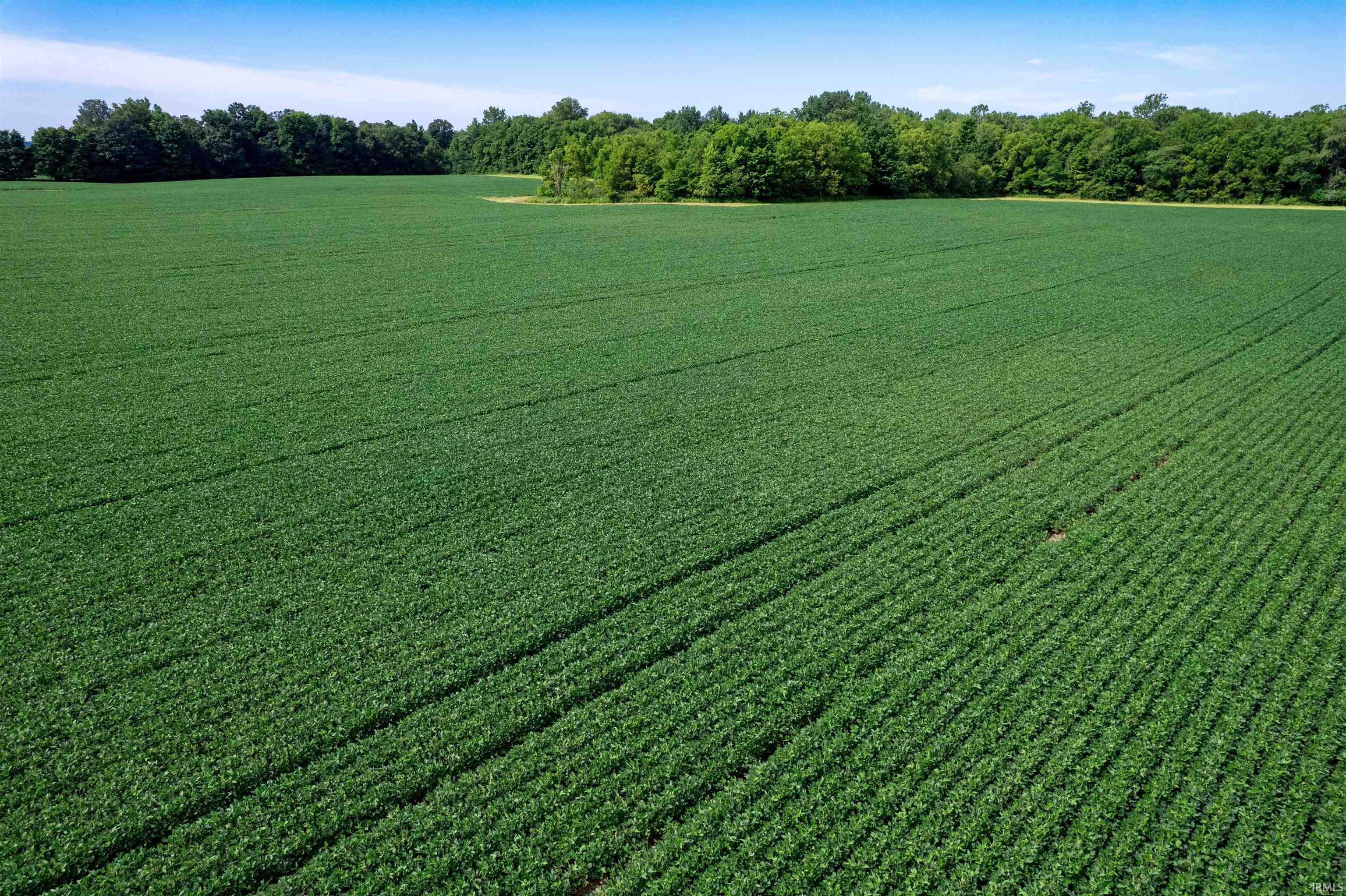 Homes for sale in Warren, IN | 8584 S 600 W, Warren, IN 46792 | MLS# 202531064