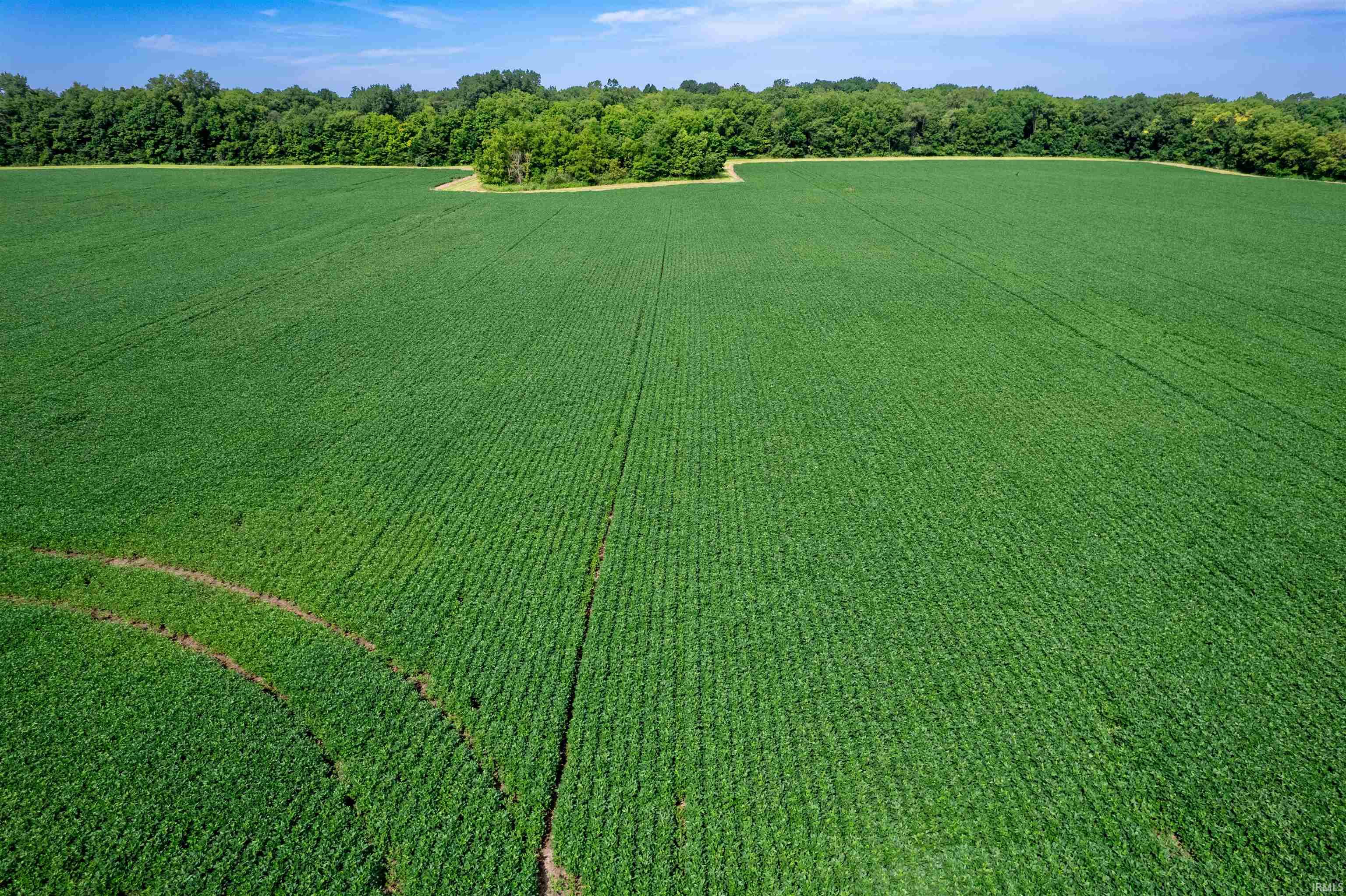 Homes for sale in Warren, IN | 8584 S 600 W, Warren, IN 46792 | MLS# 202531064