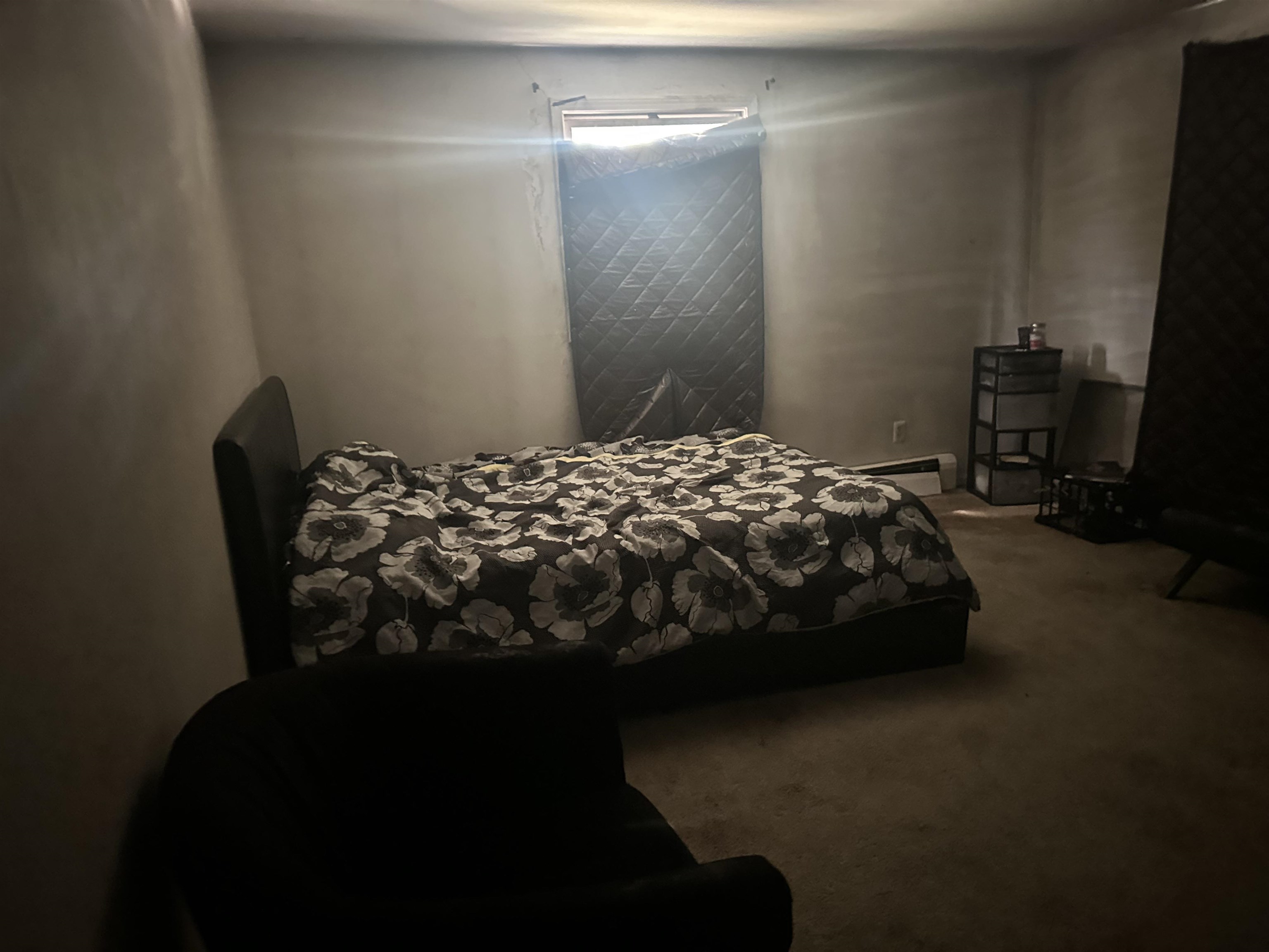 Photo 11 of 4408 Tamarack Drive