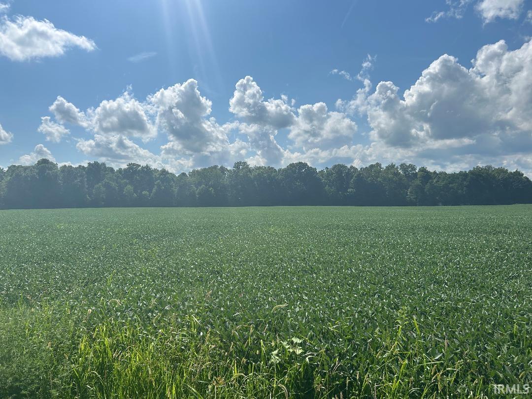 Homes for sale in Kingman, IN | 669 E 800 S Rd, Kingman, IN 47952 | MLS# 202532026