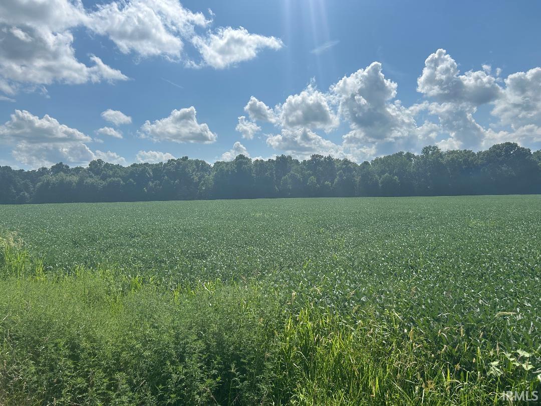 Homes for sale in Kingman, IN | 669 E 800 S Rd, Kingman, IN 47952 | MLS# 202532026