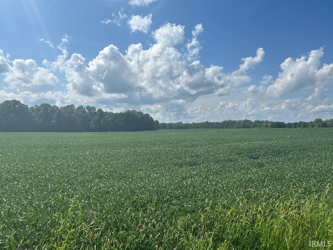 Homes for sale in Kingman, IN | 669 E 800 S Rd, Kingman, IN 47952 | MLS# 202532026