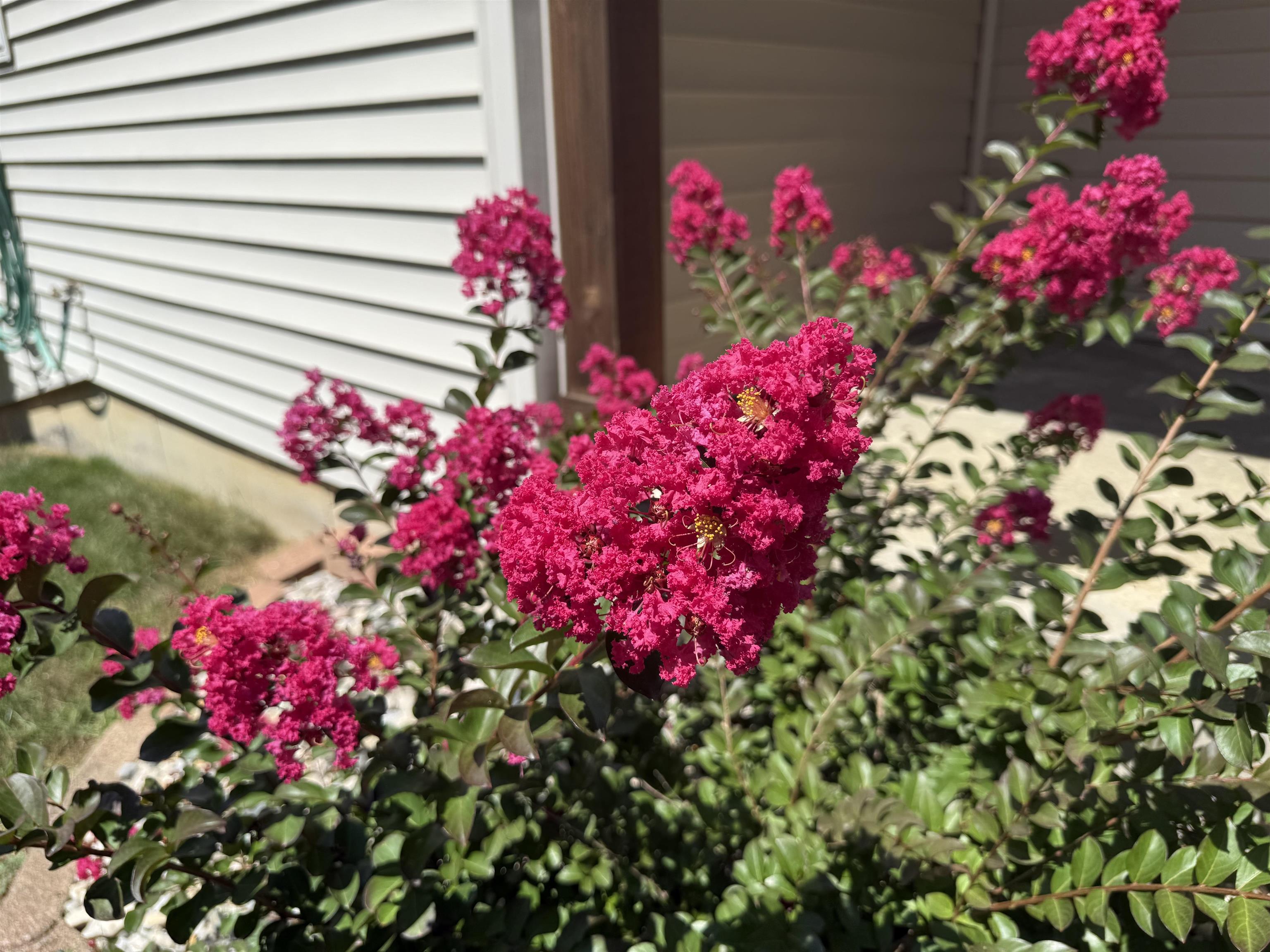 Homes for sale in Roanoke, IN | 602 Nancyk Xing, Roanoke, IN 46783 | MLS# 202532051