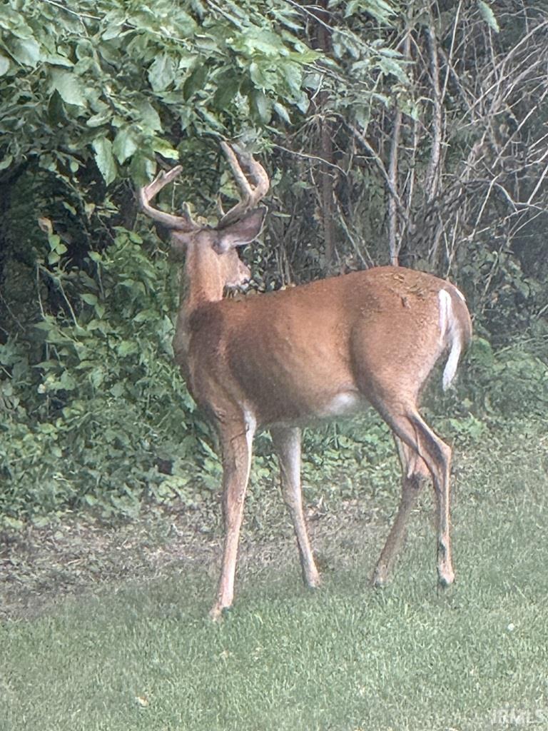 Homes for sale in Bristol, IN | 18729 Us Hwy 20 Hwy, Bristol, IN 46507 | MLS# 202532446