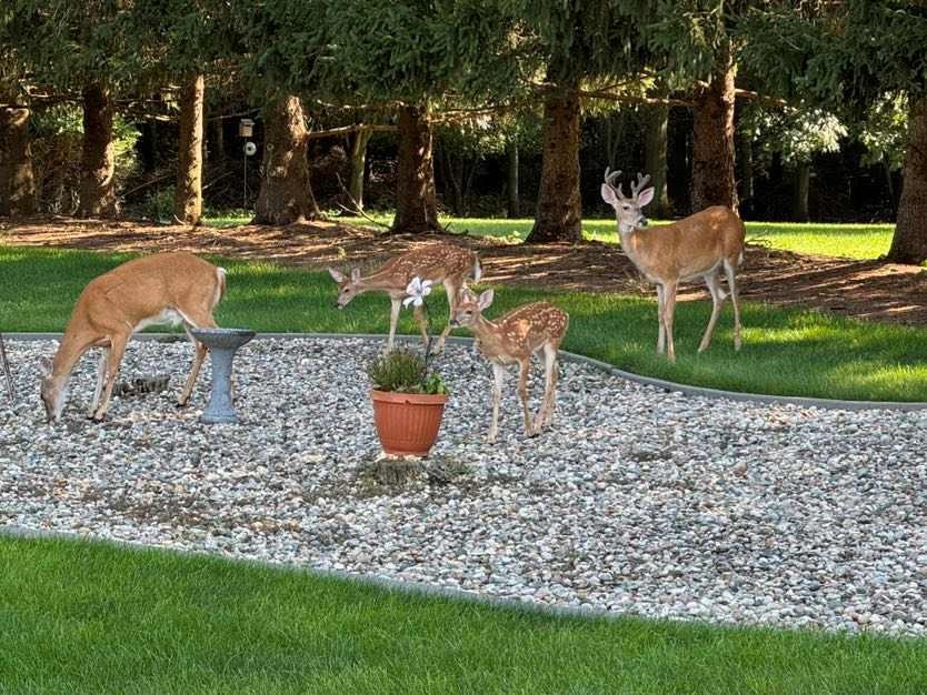 Homes for sale in Elkhart, IN | 51111 Stratford Ct, Elkhart, IN 46514 | MLS# 202532779