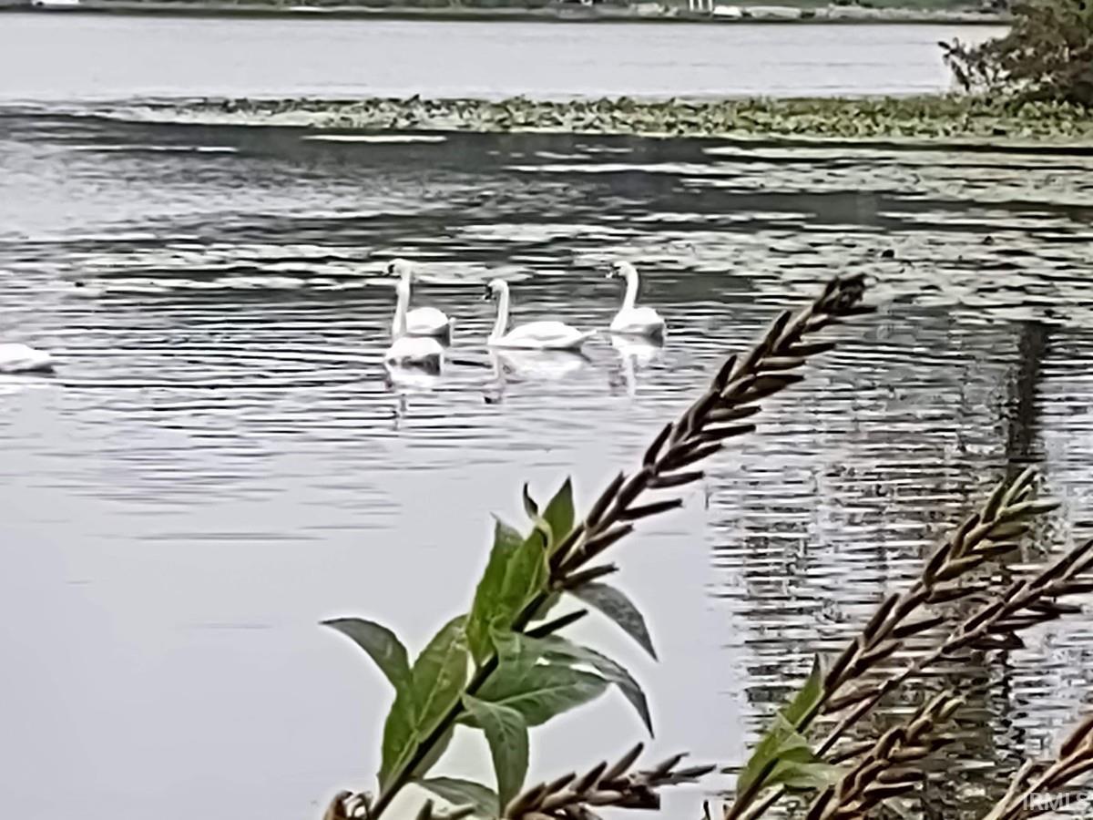 Photo 27 of 9207 N Koher Road