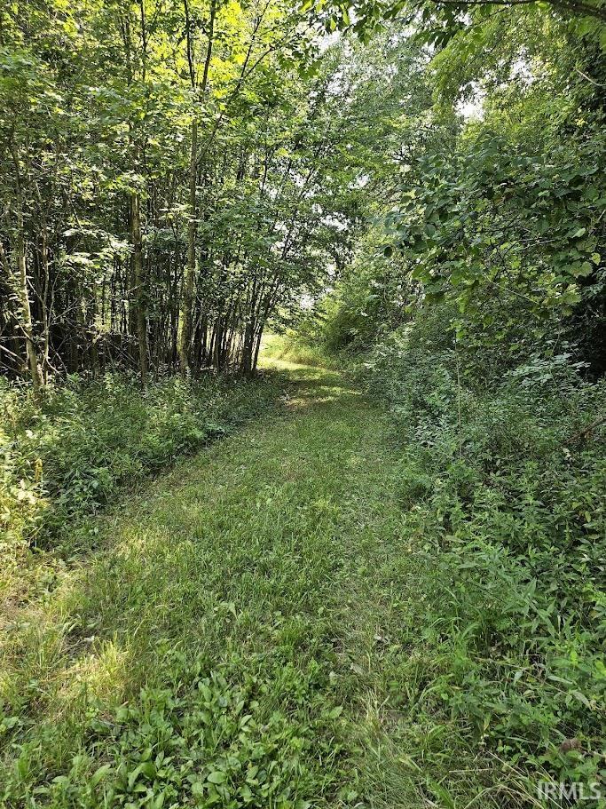 Photo 10 of 6210 County Road 55