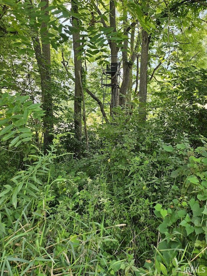 Photo 11 of 6210 County Road 55