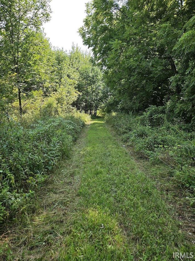 Photo 12 of 6210 County Road 55