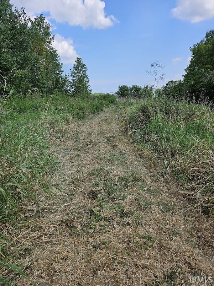 Photo 13 of 6210 County Road 55