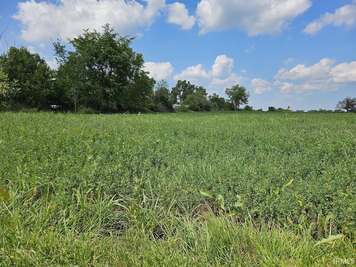 Photo 5 of 6210 County Road 55