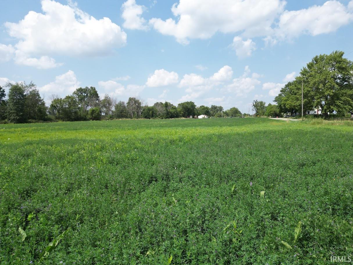 Photo 6 of 6210 County Road 55