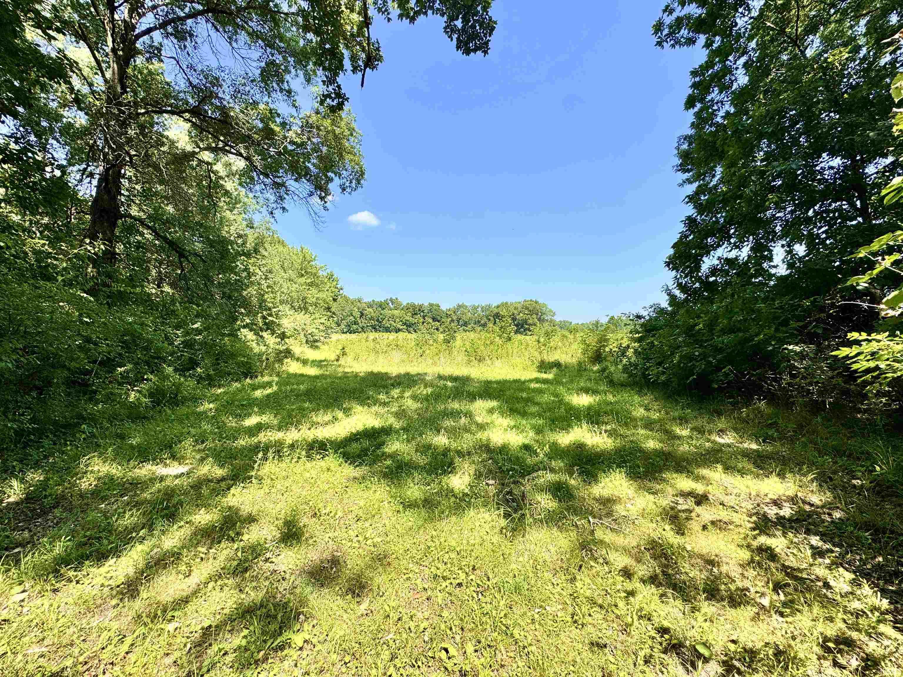 Homes for sale in Attica, IN | Flint Rd E 0, Attica, IN 47918 | MLS# 202533154