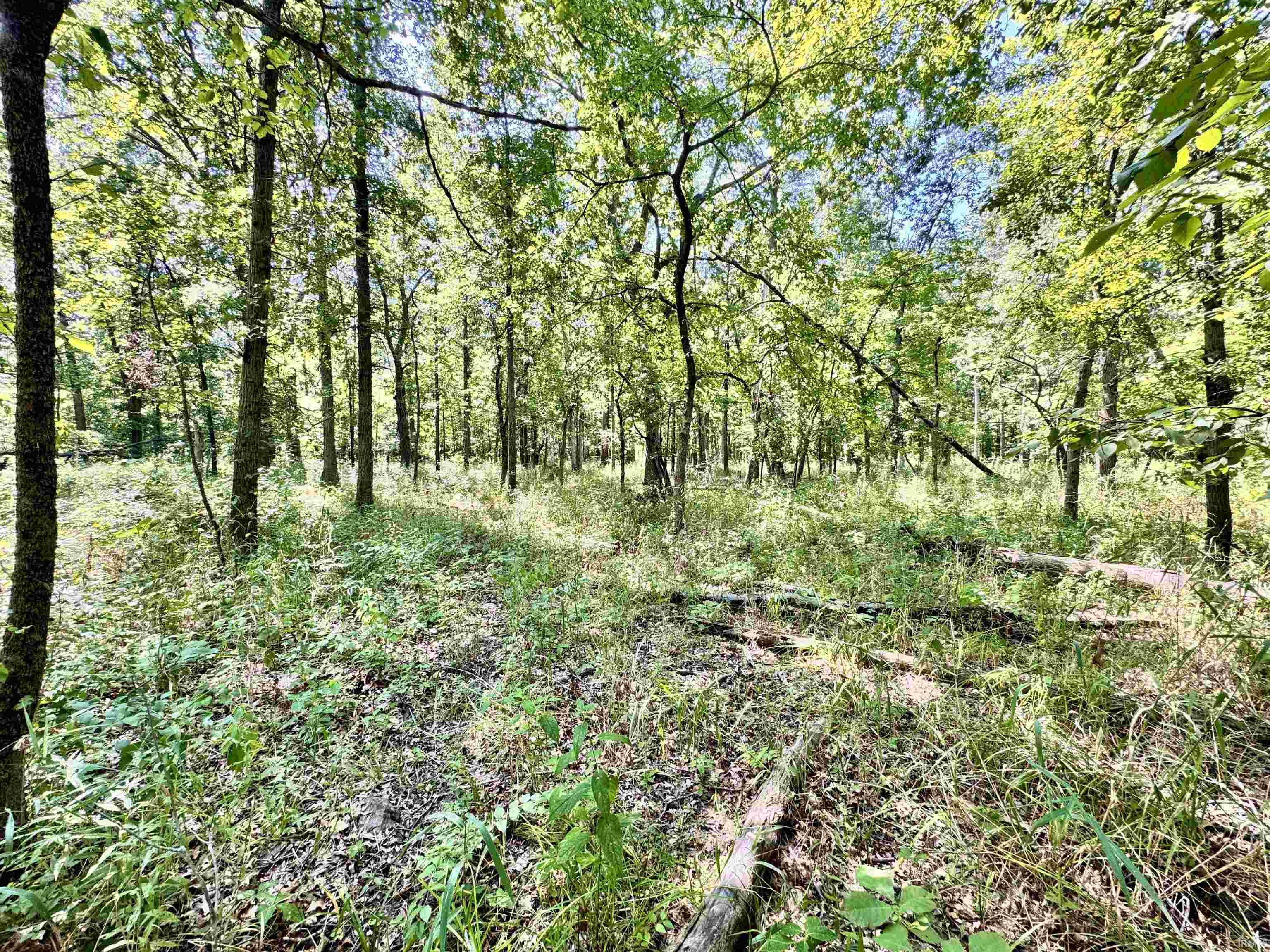 Homes for sale in Attica, IN | Flint Rd E 0, Attica, IN 47918 | MLS# 202533154