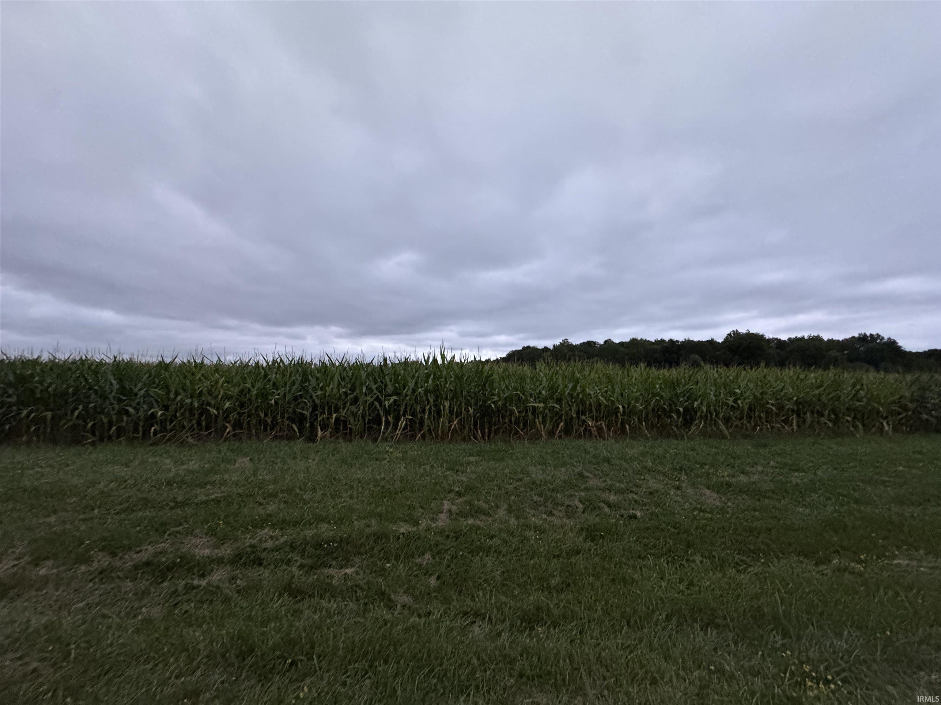 Photo 1 of Tract 12 County Road 26 Road