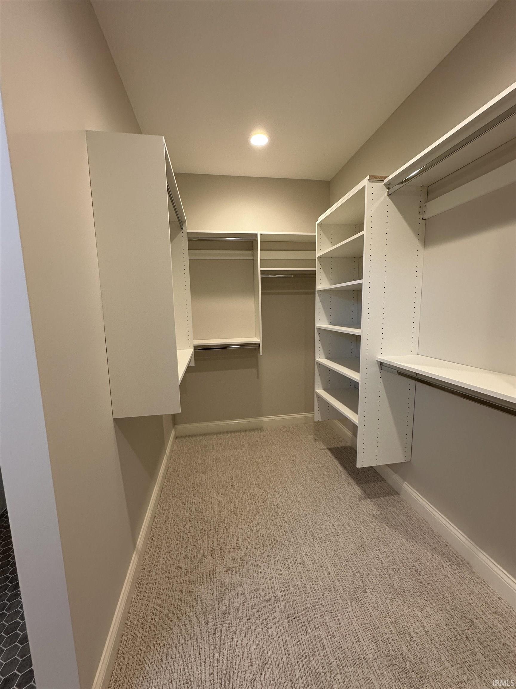 Spacious closet featuring light carpet